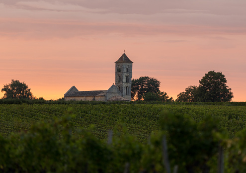 Sunset over the vineyards of Montagne near Saint Emilion. Gironde, Aquitaine. France