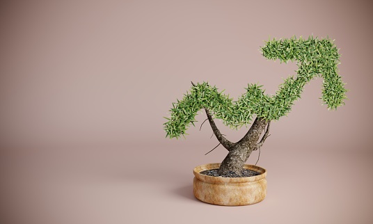 Small plant in pot shaped like growing graph, can be used in business, finance, ecology concepts. ( 3d render )
