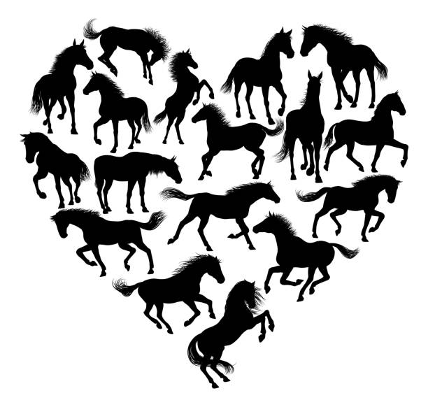 pferdesilhouette herz - tierisches herz stock-grafiken, -clipart, -cartoons und -symbole