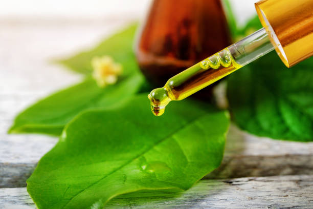 bio herbal cosmetics and alternative medicine concept stock photo