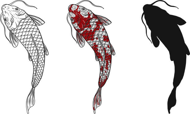 ilustrações de stock, clip art, desenhos animados e ícones de koi fish vector tattoo by hand drawing. - lily flower vector red
