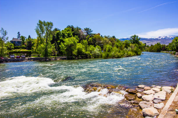 Rushing Waters Of Truckee River In Reno Shoreline And Rushing Waters Of Truckee River In Reno truckee river photos stock pictures, royalty-free photos & images