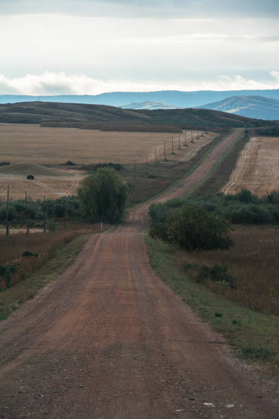 istock Road in the Altay 1151180477