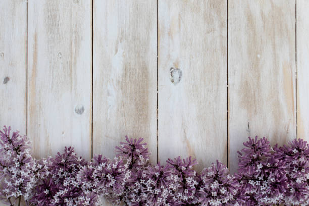 Whitewashed wooden desktop board with beautiful purple lilac flowers at the bottom - Creative layout flat lay - space for text and other digital images