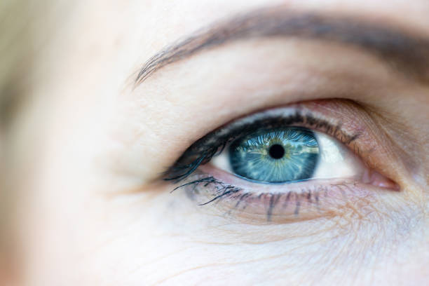 retrato de primer nivel del ojo humano senior - sensory perception eyeball human eye eyesight fotografías e imágenes de stock