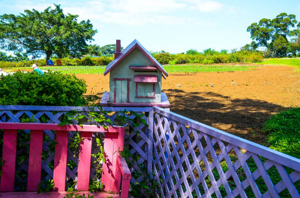istock Wooden house shape mail box in the Ta Shee Blooming Oasis. 1151181502