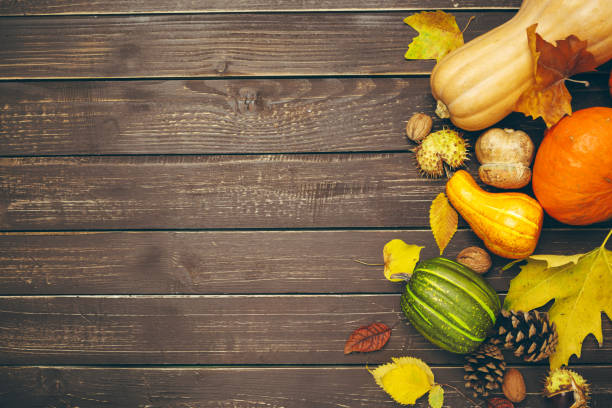 istock Pumpkin on old rustic wooden table. 1151184612