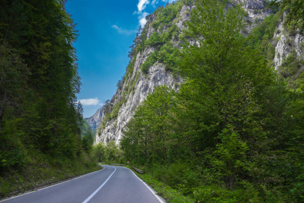 istock Empty asphalt road in the mountains. 1151185274