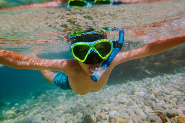 istock Child snorkeling in shallow sea. 1151187307