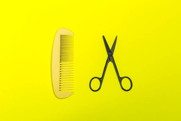istock Flat lay composition with professional hairdresser tools on color background 1151189846