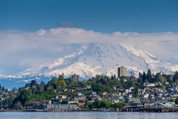 istock Tacoma Homes And Rainier 7 1151190677