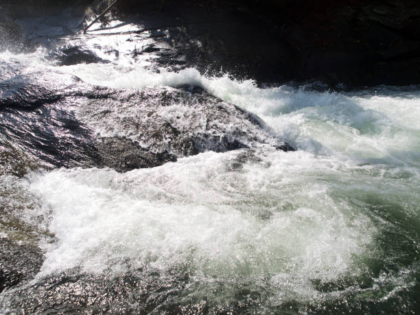 White Water river in Kerala India