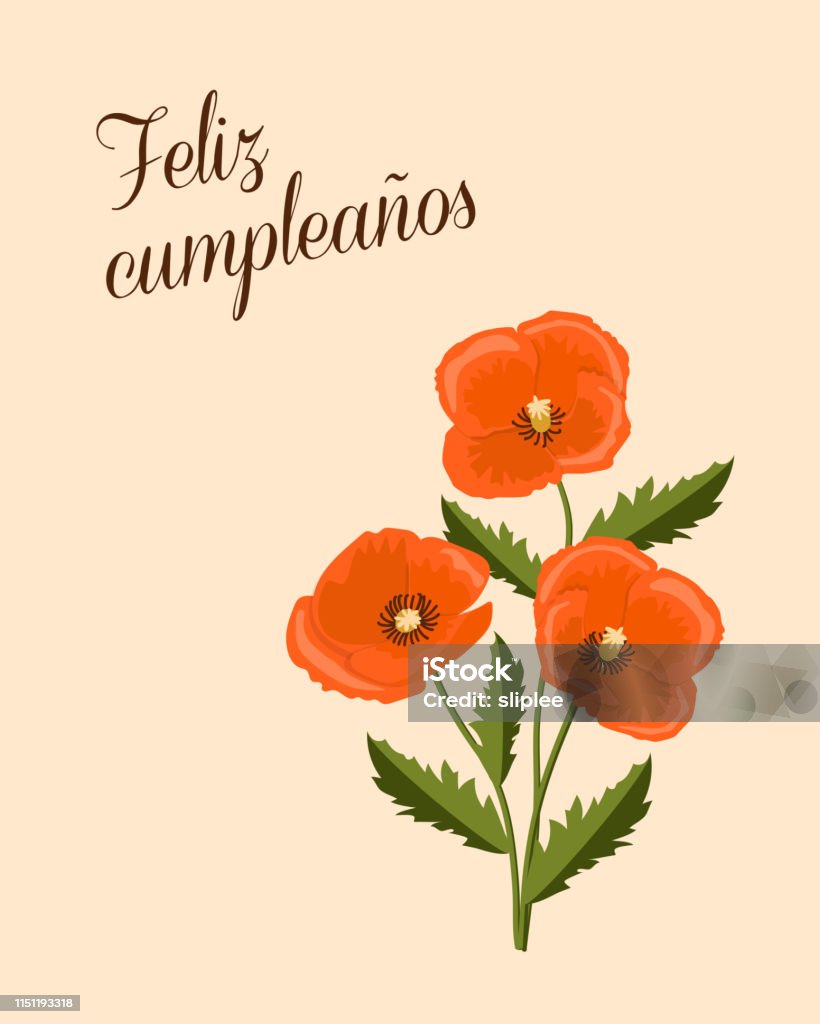 spanish birthday card with three red poppies Birthday or invitation card with three red poppies and spanish language text Feliz Cumpleaños. Simple design for print  festive dishes, gift packing and decorate party events. eps 10. Anniversary stock vector