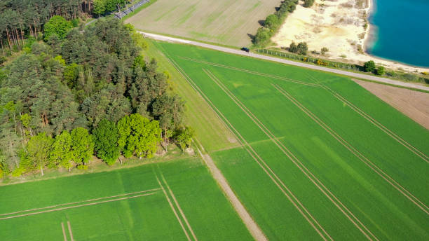 istock Field next to a forest, aerial view 1151193604