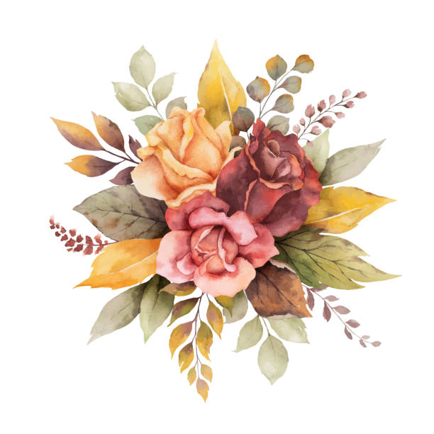 Watercolor vector autumn arrangement with roses and leaves isolated on white background. Watercolor vector autumn arrangement with roses and leaves isolated on white background. Botanic composition for greeting cards, wedding invitations, floral poster and decorations. branch plant part stock illustrations
