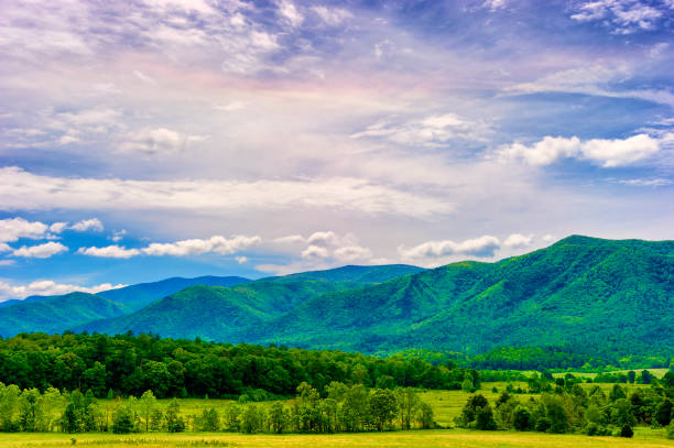 cades cove valley dans le tennessee smoky mountains - cades cove photos et images de collection