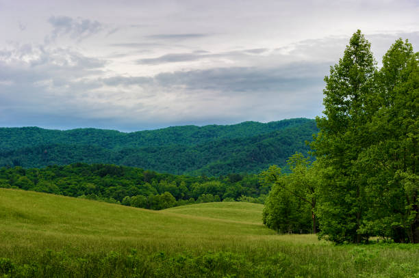 istock Cades Cove Smoky Mountains 1151196750