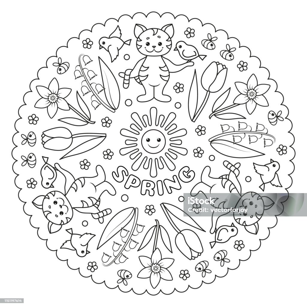 Coloring page mandala with cat, bird and flowers. SPRING. Vector Illustration. Mandala stock vector