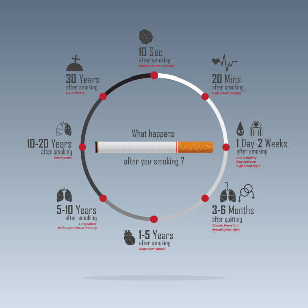 May 31st World No Tobacco Day infographic. No Smoking Day Awareness. Health Effects of Cigarette Smoking concept. Stop Smoking Campaign. Vector Illustration. May 31st World No Tobacco Day infographic. No Smoking Day Awareness. Health Effects of Cigarette Smoking concept. Stop Smoking Campaign. Vector Illustration. cigarette warning label stock illustrations