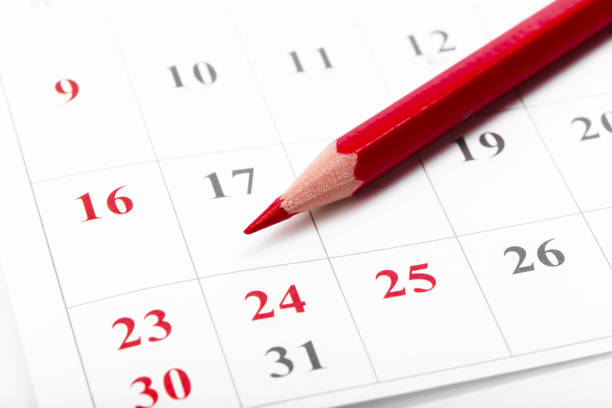 istock Check out the dates in a business calendar concept 1151199407
