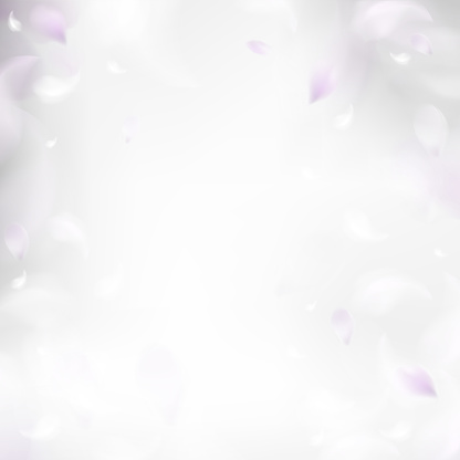 Soft spring background with purple blurred flower petals and feathers vector illustration
