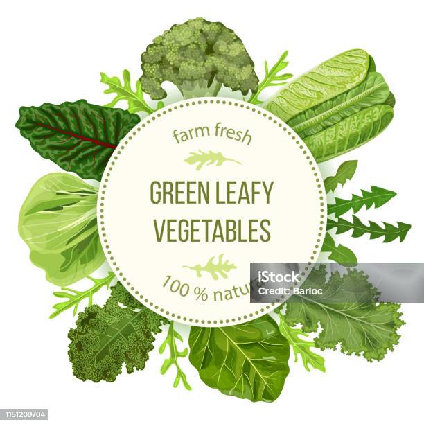 Green Leafy Vegetables Round Label Text Copt Space Farm Fresh Spinach Dandelion Broccoli Romaine Lettuce Kale Collard Stock Illustration - Download Image Now