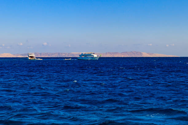 istock White yachts sailing in Red sea, Egypt 1151202317