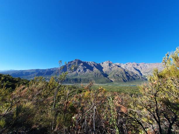 istock Rio Los Cipreses National Reserve 1151202507