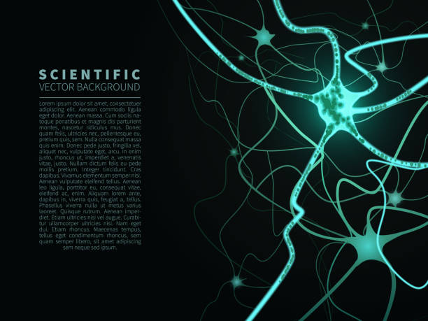 Model of neural system. Scientific vector background for projects on technology, medicine, chemistry, science and education. Model of neural system. Scientific vector background for projects on technology, medicine, chemistry, science and education. neural axon stock illustrations