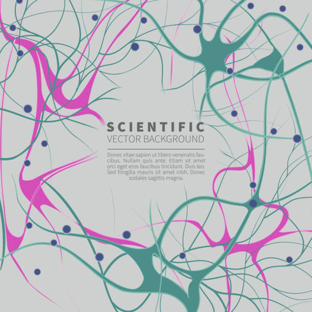 ilustrações, clipart, desenhos animados e ícones de modelo do sistema neural. fundo científico do vetor para projetos na tecnologia, na medicina, na química, na ciência e na instrução. - neurons abstract