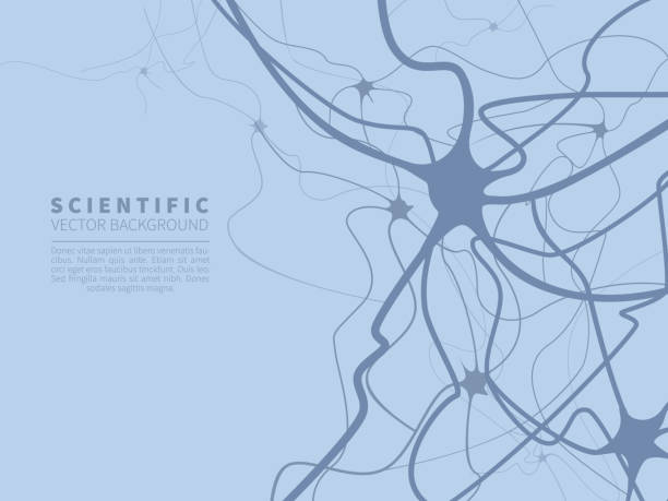 modell des neuronalen systems. wissenschaftlicher vektorhintergrund für projekte zu technik, medizin, chemie, wissenschaft und bildung. - nervenzelle stock-grafiken, -clipart, -cartoons und -symbole