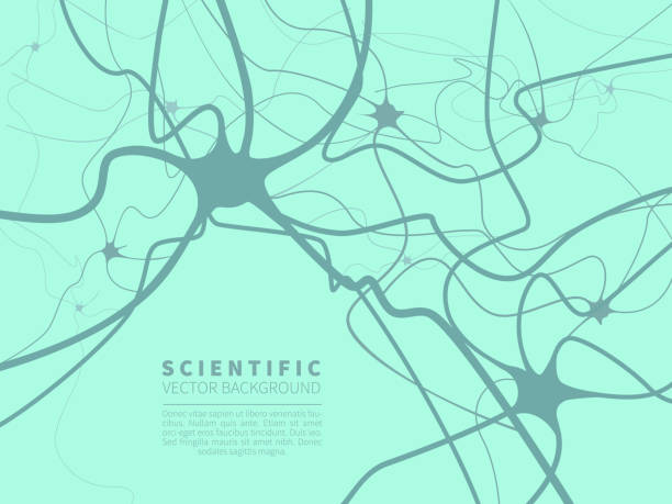 ilustrações, clipart, desenhos animados e ícones de modelo do sistema neural. fundo científico do vetor para projetos na tecnologia, na medicina, na química, na ciência e na instrução. - synapse