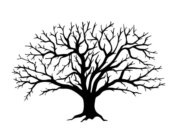 130+ Tree Stencil For Wall Stock Illustrations, Royalty-Free Vector  Graphics & Clip Art - iStock
