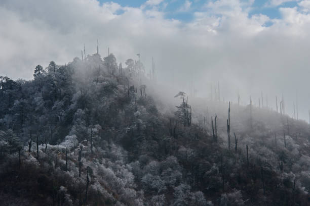 남부 히말라야 산맥의 겨울 안개. - fogs 뉴스 사진 이미지