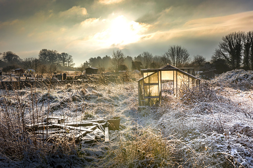 Elegant image of a frozen winter landscape in golden light