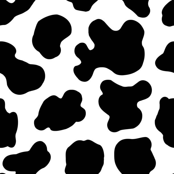 Seamless pattern. Stains on the skin of a cow. Uneven black spots on a white background. cowhide stock illustrations