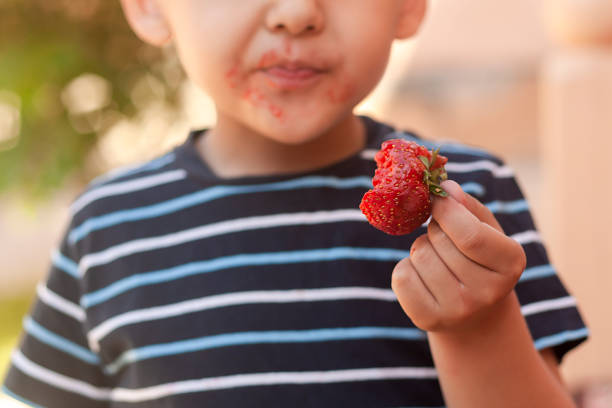 A little boy eating strawberry. Summer food A little boy eating strawberries. Summer food. A young kid eats a yummy strawberry in hot summer day. food elementary student healthy eating schoolboy stock pictures, royalty-free photos & images