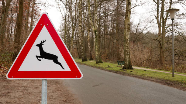 istock traffic sign wild crossing 1151221304