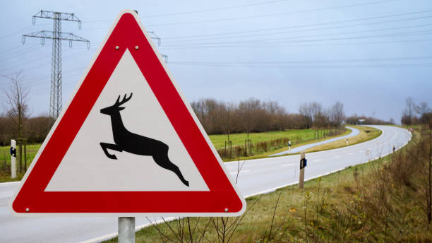 istock traffic sign wild crossing 1151221323