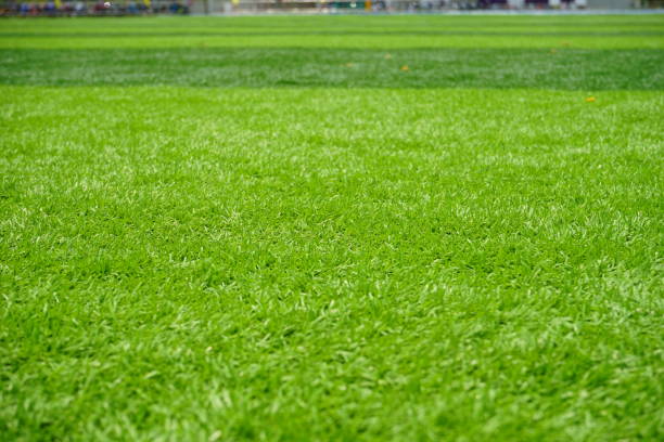 istock Patch of green Artificial Turf 1151221560