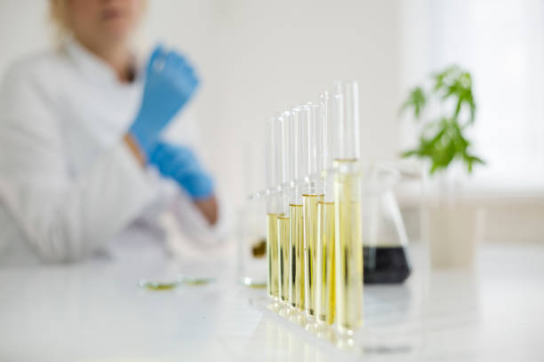 female scientist in a laboratory working with cbd oil extracted from a medical marijuana plant. she is checking the marijuana plant. healthcare pharmacy from medical cannabis. - laboratory pharmacy medicine research imagens e fotografias de stock