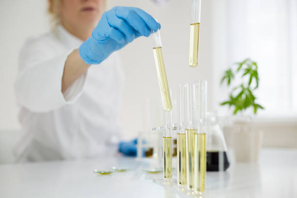 istock Female scientist in laboratory testing cbd oil extracted from a marijuana plant. She is using a various glass tubes and bowls for the experiment. Healthcare pharmacy from medical cannabis. 1151222261