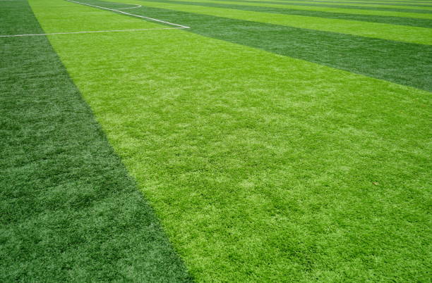 Lawn, Meadow, Soccer Ball, Sports Field, Stadium
