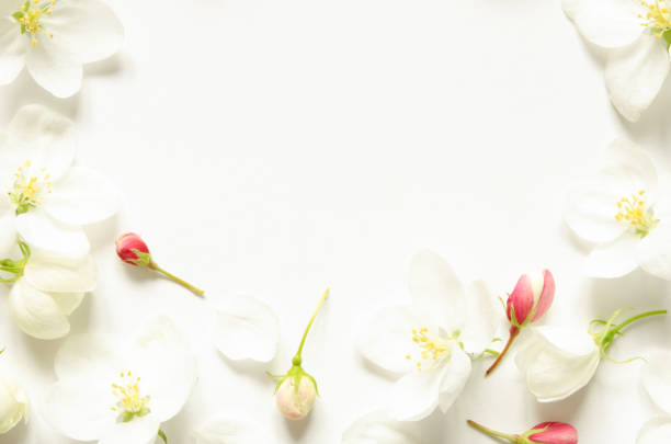 istock Flowers composition. Pattern made white and pink flowers with space for text on white paper. Mockup. View from above. - Image 1151223874