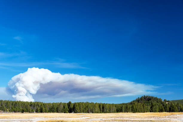 istock Smoke Rising in Yellowstone 1151224030