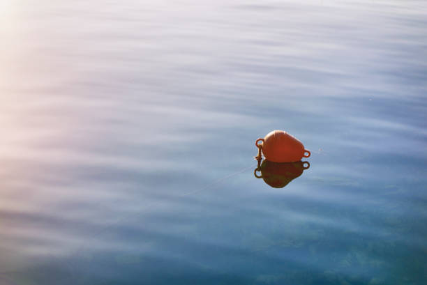 Lobster Buoys at sunrise-Boothbay Harbor Maine