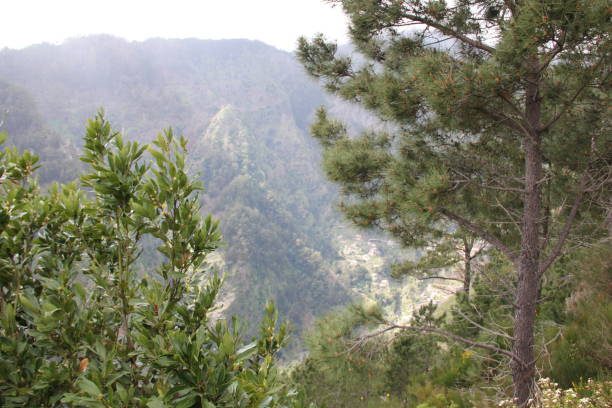 istock Nuns Valley Madeira Portugal 1151226863
