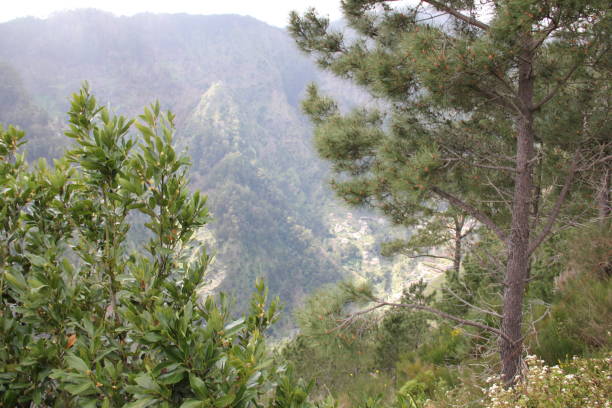 istock Nuns Valley Madeira Portugal 1151226934