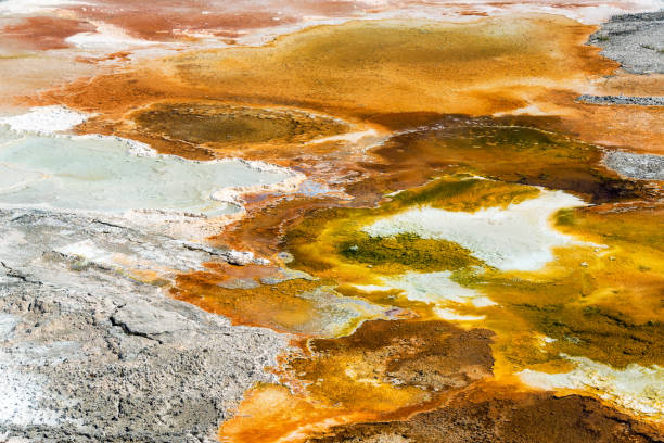 istock Mammoth Hot Springs Bacteria Mat 1151229405