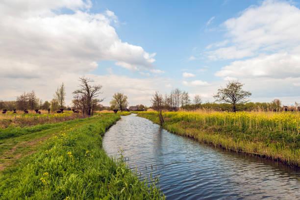 istock Natural stream in a rural Dutch landscape 1151229416